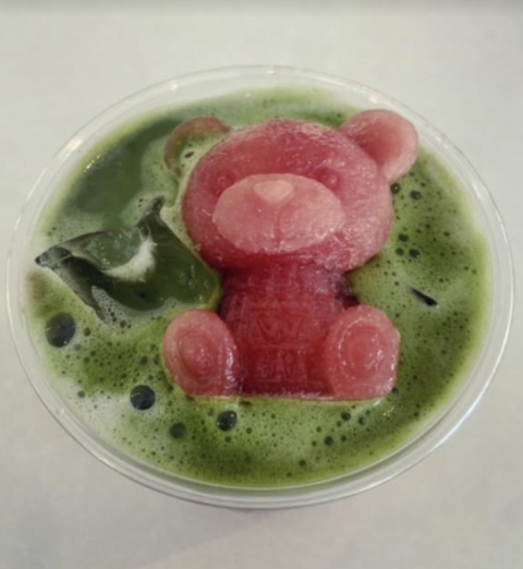 An iced matcha at Ceremony -- with a frozen teddy bear add-on. PHOTO: GoLocalProv