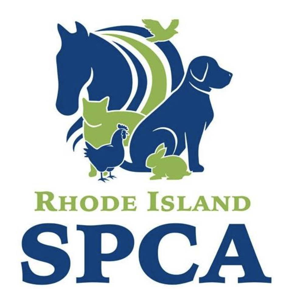GoLocalProv | Dog Left in Cooler Outside Coventry Walmart Dies, RISPCA  Offers Reward for Info